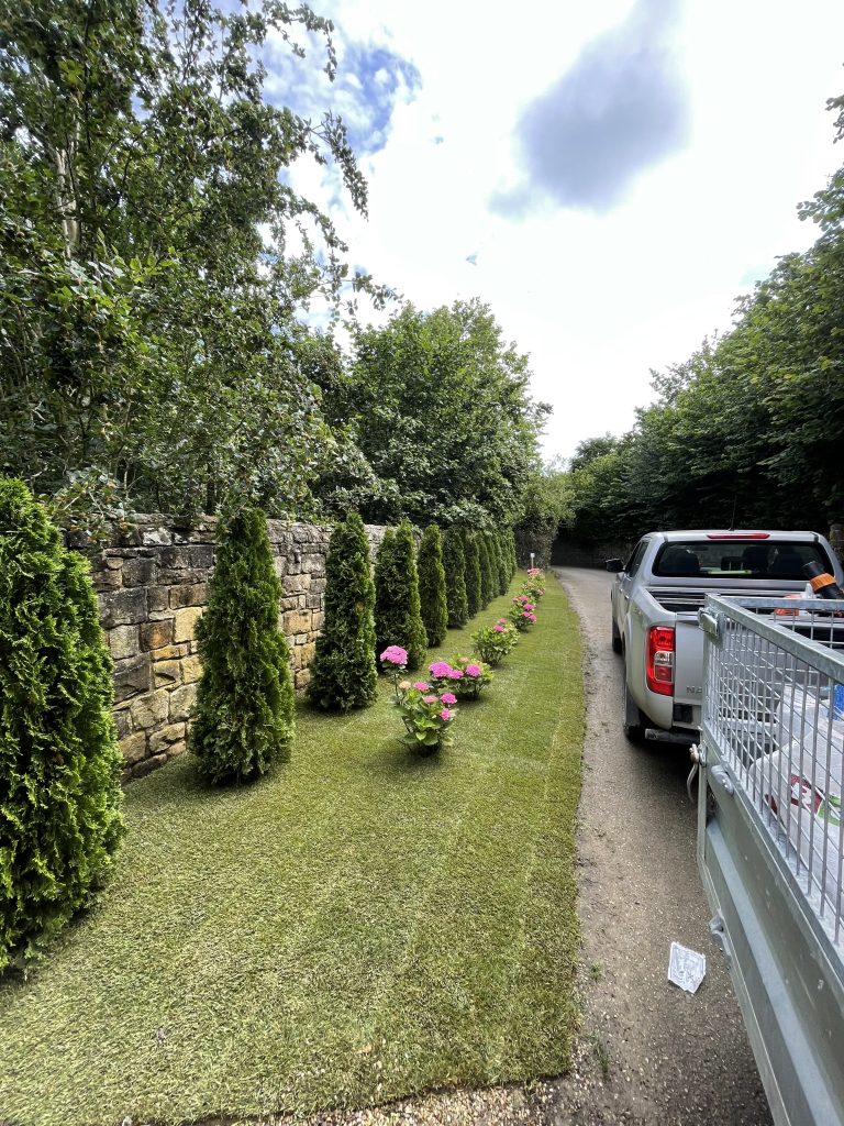 Jardinería en Loredo