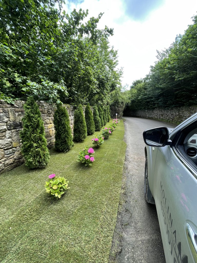 Jardinería Santander